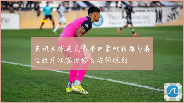 英超女球迷走光事件影响转播与赛场秩序联赛拟修订安保规则