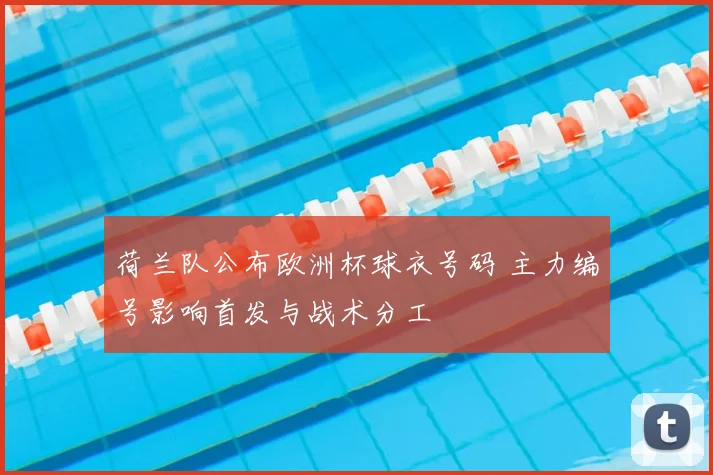 荷兰队公布欧洲杯球衣号码 主力编号影响首发与战术分工