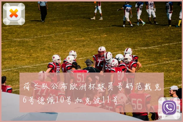 荷兰队公布欧洲杯球员号码范戴克6号德佩10号加克波11号