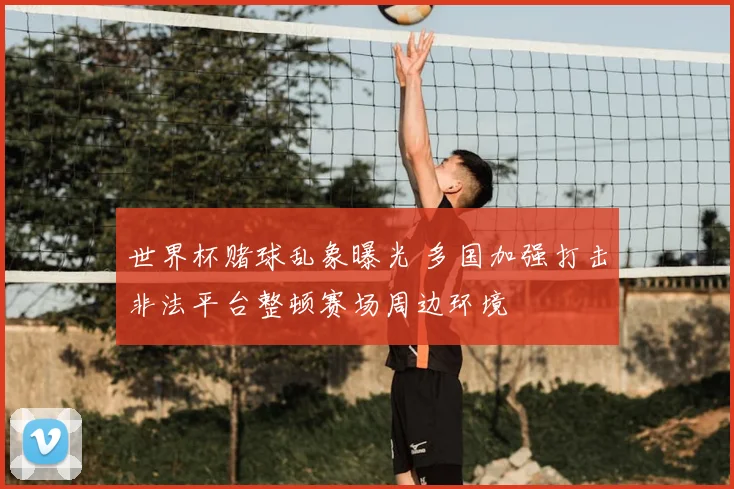 世界杯赌球乱象曝光 多国加强打击非法平台整顿赛场周边环境