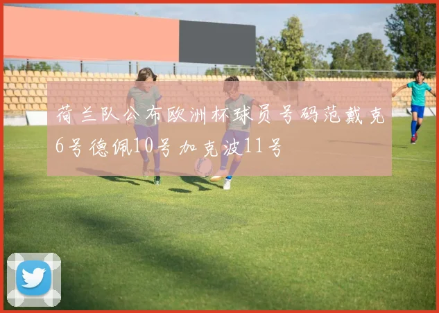 荷兰队公布欧洲杯球员号码范戴克6号德佩10号加克波11号
