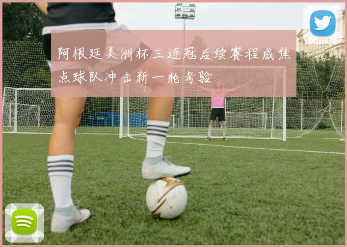 阿根廷美洲杯三连冠后续赛程成焦点球队冲击新一轮考验