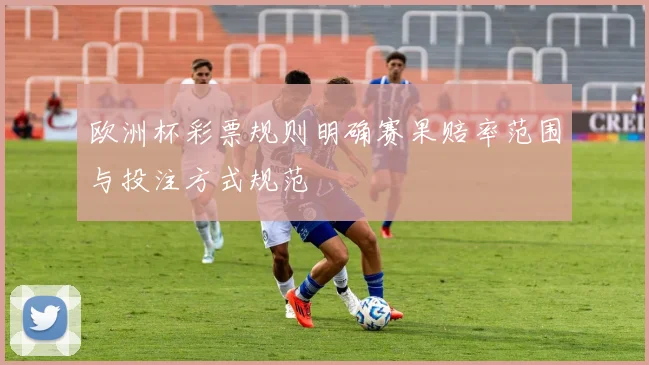 欧洲杯彩票规则明确赛果赔率范围与投注方式规范