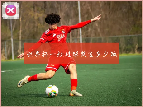 世界杯一粒进球奖金多少钱