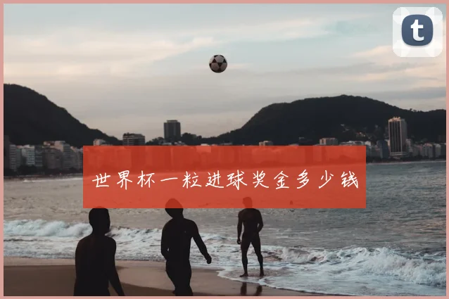 世界杯一粒进球奖金多少钱